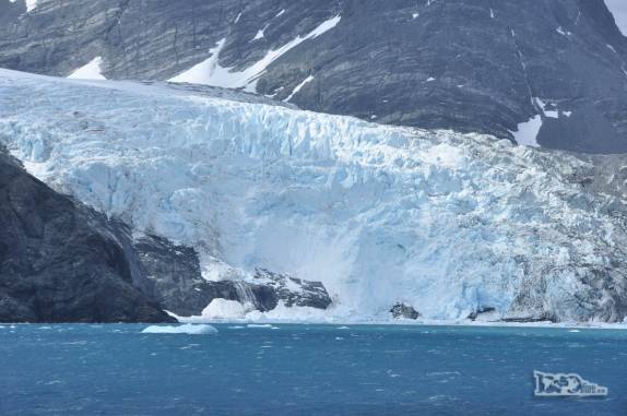 Uma das muitas geleiras ao longo do Drygalski Fjord, na Geórgia do Sul